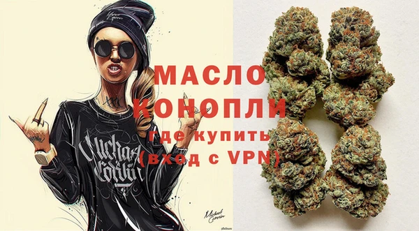 индика Аркадак