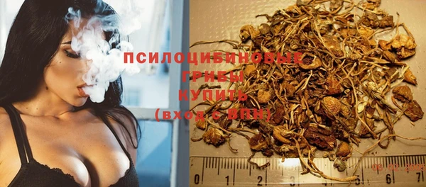 а пвп мука Армянск