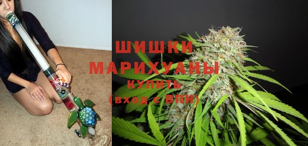 индика Аркадак