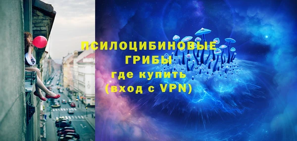 индика Аркадак