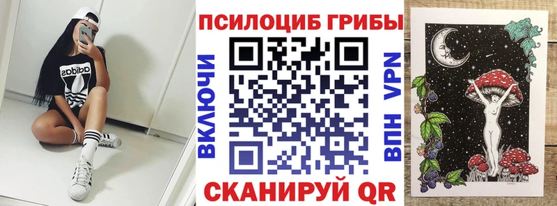 продажа наркотиков  Моздок  ОМГ ОМГ ссылка  Галлюциногенные грибы Magic Shrooms 